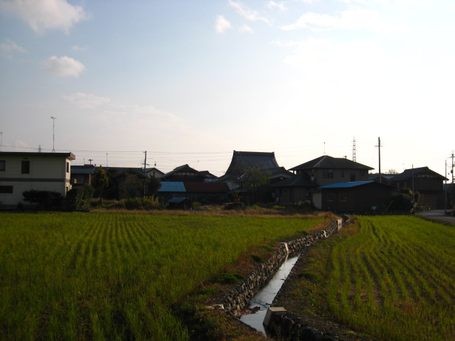 d0121300_335279.jpg