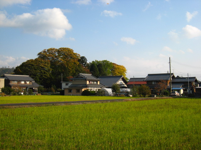 d0121300_335331.jpg