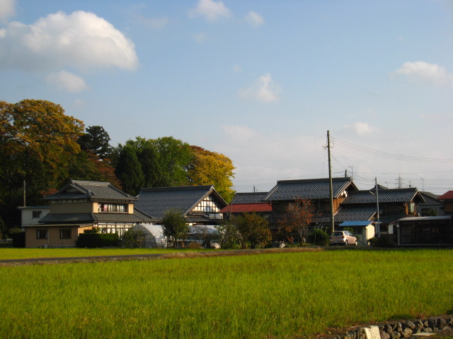 d0121300_3354112.jpg