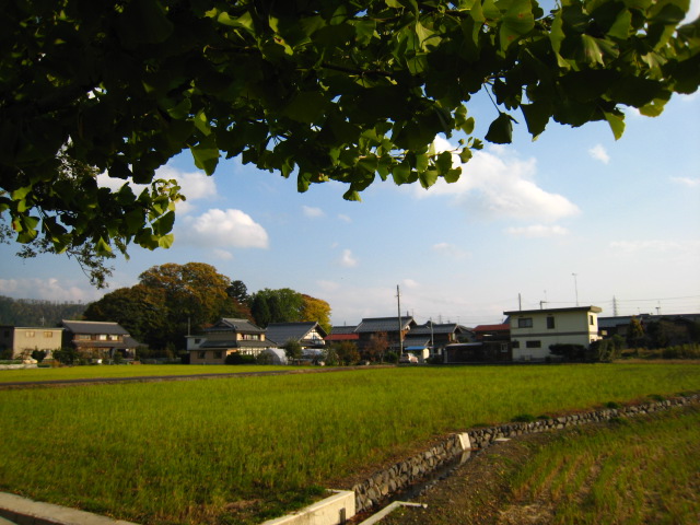 d0121300_3355060.jpg