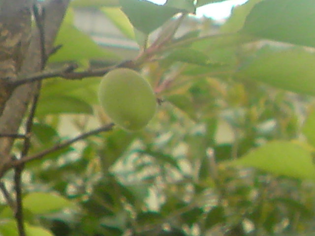 f0052603_2234835.jpg