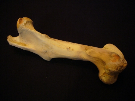 e0148907_23563977.jpg