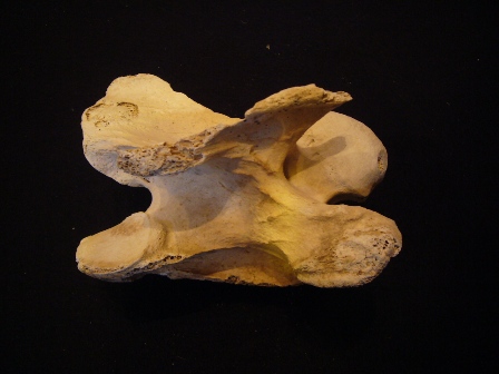 e0148907_23572557.jpg