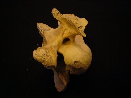 e0148907_23575037.jpg