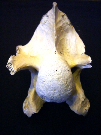 e0148907_23581058.jpg