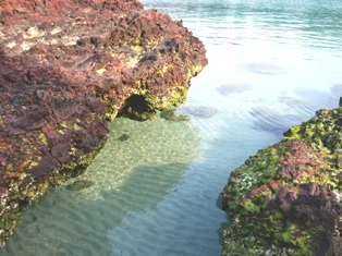 c0092408_17502093.jpg