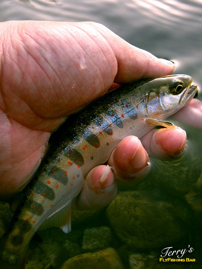 e0009009_22231970.jpg