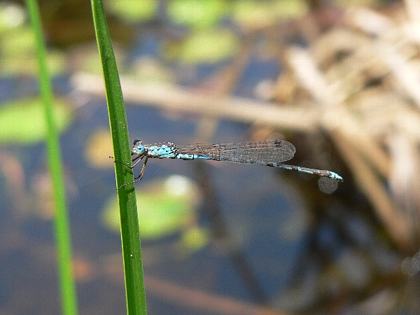 e0002314_1818995.jpg