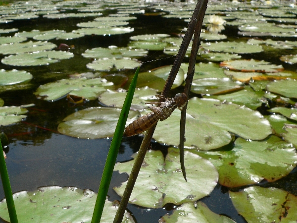 e0002314_18212742.jpg