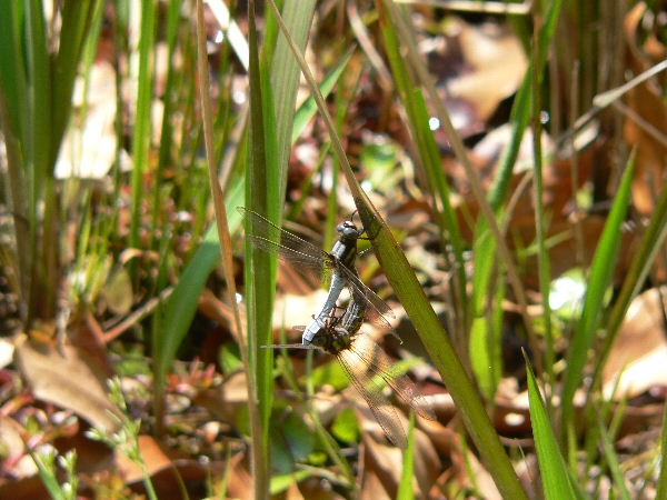 e0002314_1822933.jpg