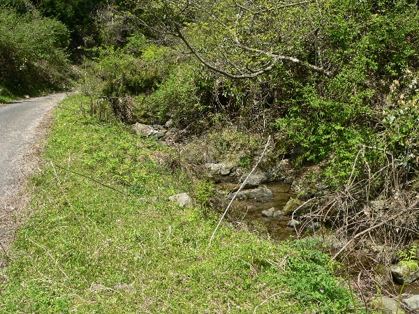 e0002314_18304972.jpg