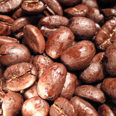 c0036617_726458.jpg