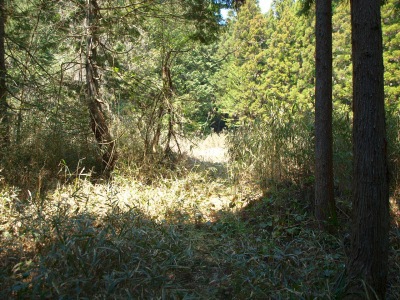 d0114517_3524754.jpg