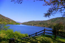 e0129517_22195599.jpg