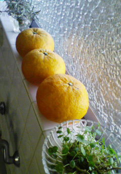 c0156018_1744654.jpg