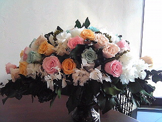 a0052621_14112939.jpg