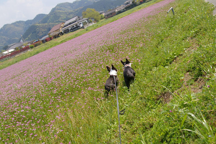a0114222_211887.jpg