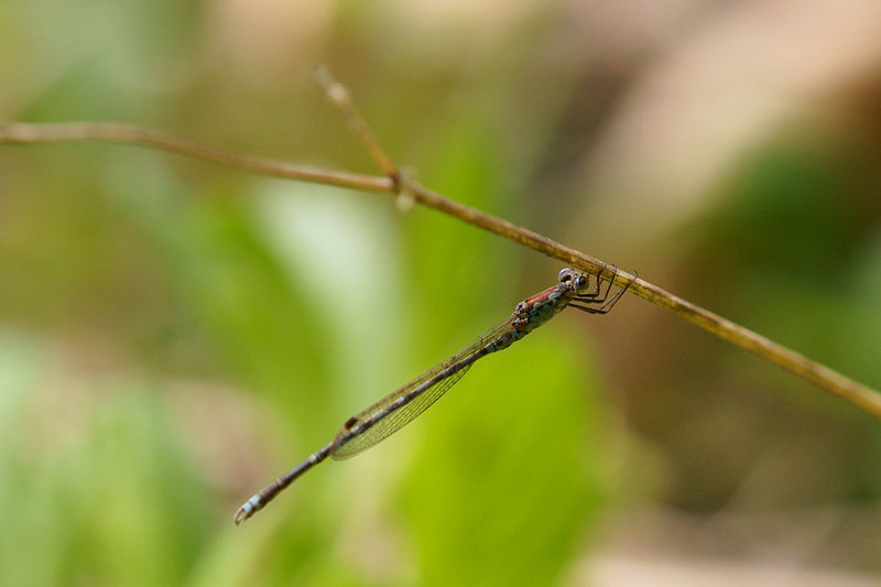 d0089024_17201730.jpg