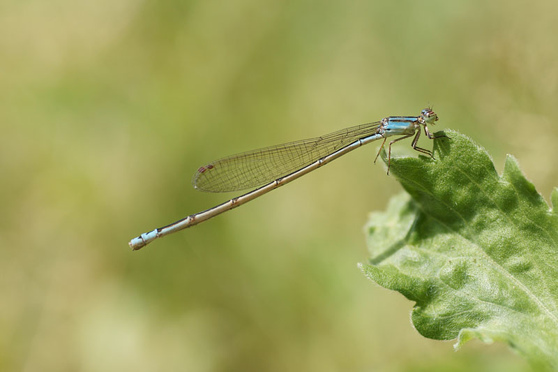 d0089024_17243099.jpg