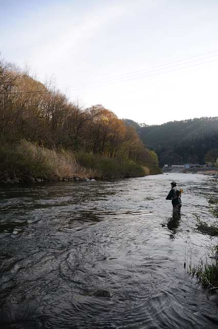 c0133133_233782.jpg
