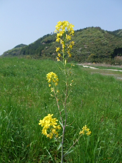 f0131934_22461364.jpg