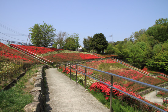 e0044635_16584991.jpg