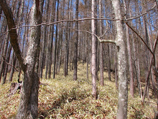b0097836_05047.jpg