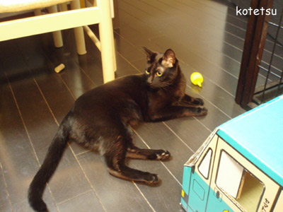 c0132438_2265814.jpg