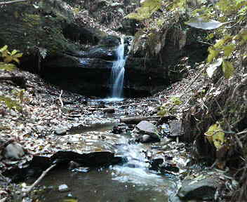 e0007938_15402597.jpg