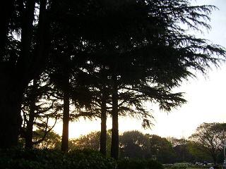 b0149641_12492854.jpg