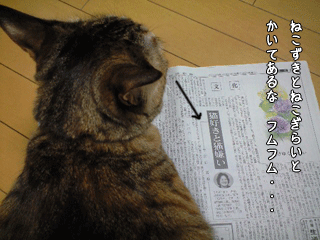 f0116546_23393792.gif