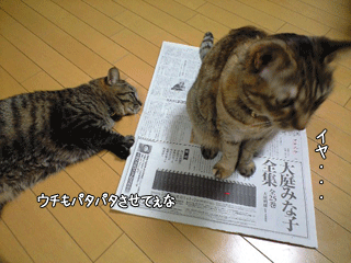 f0116546_23404994.gif