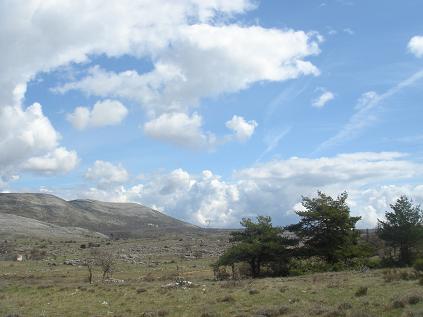 f0194446_23563814.jpg