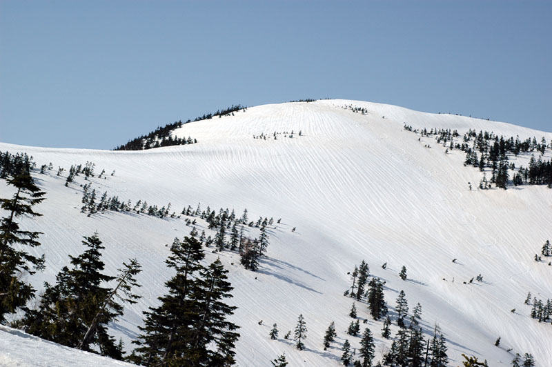 c0077847_1829196.jpg