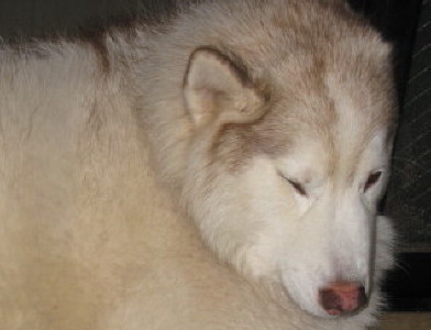 e0121548_21491017.jpg
