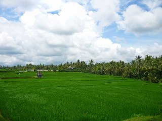 b0166749_22471015.jpg