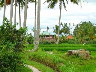 b0166749_22492020.jpg