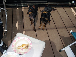 c0123149_1653696.jpg