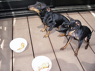 c0123149_166148.jpg