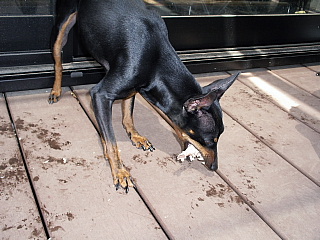 c0123149_1683680.jpg