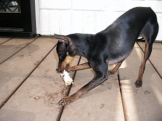 c0123149_1684669.jpg