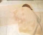 e0150849_22195367.jpg