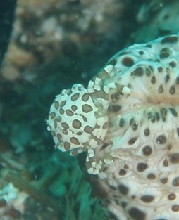 e0065350_23452112.jpg