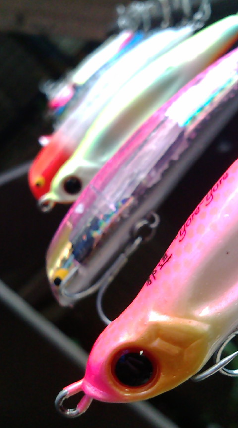 f0150151_11322291.jpg