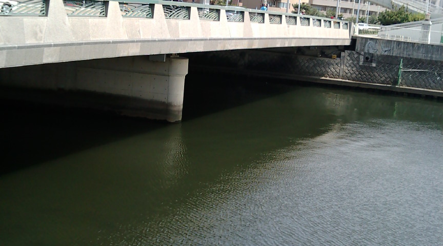 f0150151_1132571.jpg