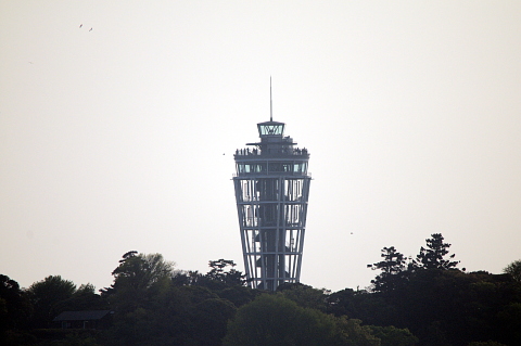 e0050753_17533667.jpg
