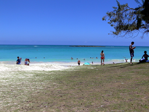 e0050753_8342546.jpg