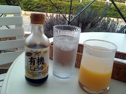 e0050753_8381120.jpg