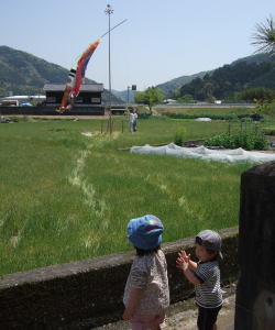 d0151154_14262426.jpg