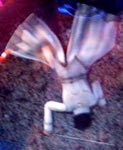 c0133755_014719.jpg